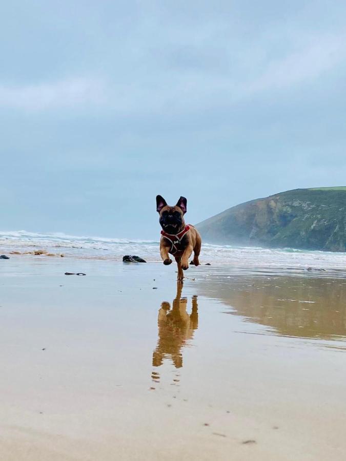Daphne'S Lodge Mawgan Porth Esterno foto