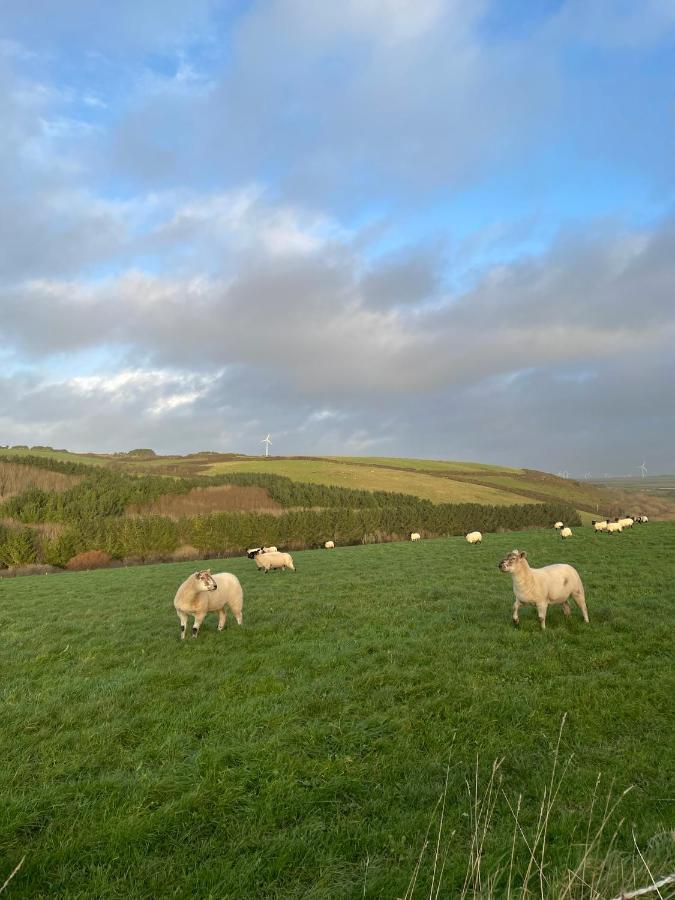 Daphne'S Lodge Mawgan Porth Esterno foto
